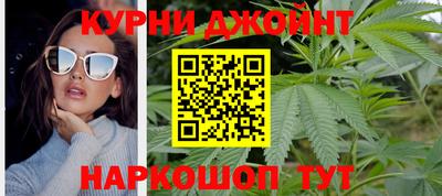прущие грибы Славгород