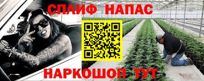 прущие грибы Славгород