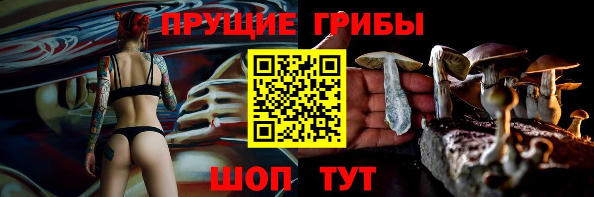 Псилоцибиновые грибы прущие грибы  Вход с VPN  Омск 